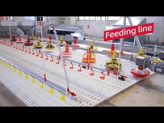 গরম বিক্রয় স্বয়ংক্রিয় মুরগির খাঁচা নকশা পোল্ট্রি খামার সরঞ্জাম