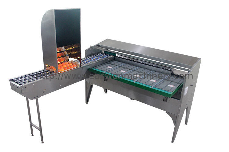 Stainless Steel Material 5 Grade Egg Sorter Grading and Candling Machine